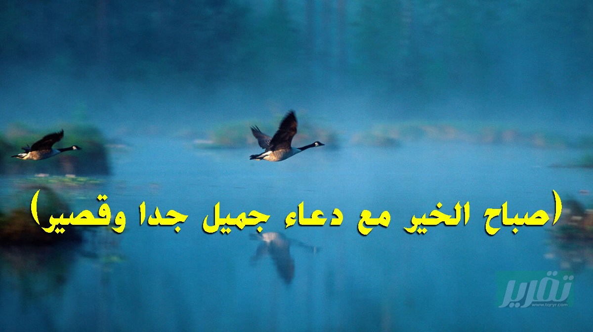 صباح الخير مع دعاء 2025 جميل جدا وقصير🌸